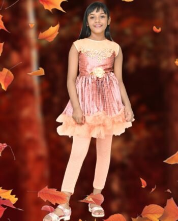 Aishani Collection Girls’ Party Wear Fancy Frock with Leggings (Peach)